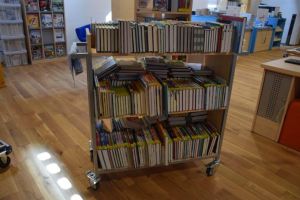 Diese Bücher warten darauf, fertig bearbeitet zu werden und zukünftig zahlreichen Leserinnen und Lesern viel Freude zu bereiten.