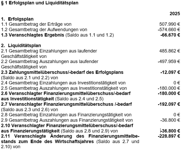 Erfolgsplan und Liquiditätsplan
